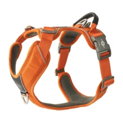 DOG Copenhagen Comfort Walk Pro™ Pettorina
