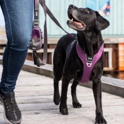 DOG Copenhagen Comfort Walk Pro™ Pettorina