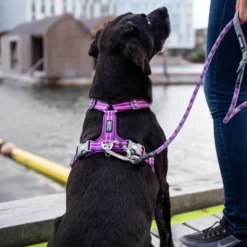 DOG Copenhagen Urban Rope Guinzaglio