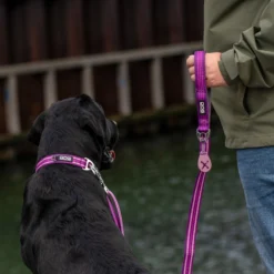 DOG Copenhagen Urban Style™ Collare
