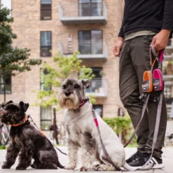 DOG Copenhagen Urban Trail™ Leash
