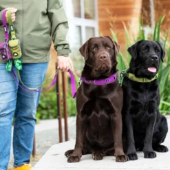 DOG Copenhagen Urban Trail™ Leash