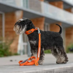DOG Copenhagen Urban Trail™ Leash
