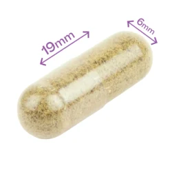 Dr. Ann's Anal Gland Support