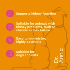 Dr. Ann's Kidney Support
