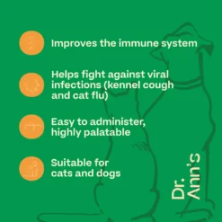Dr. Ann's L-Lysine