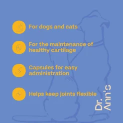 Dr. Ann's Mobility Support Plus