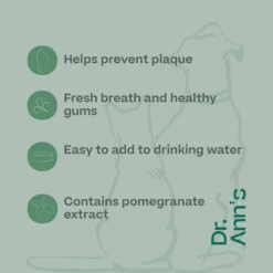 Dr. Ann's Mouth Wash