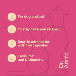 Dr. Ann's Stress Reduction