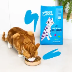 Edgard & Cooper Adult Cat - Salmone Atlantico - Crocchette