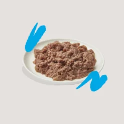 Edgard & Cooper Adult Cat - Salmone MSC e Pollo Ruspante - Paté