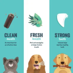 Edgard & Cooper Doggy Dental - Menta e Fragola