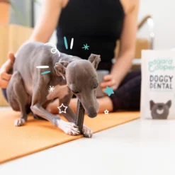 Edgard & Cooper Doggy Dental - Menta e Fragola