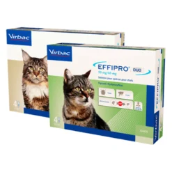 Effipro DUO Spot-on Gatto