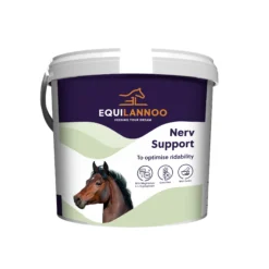 Equilannoo Nerv Support