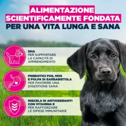 Eukanuba Dog - Life Care Puppy - Large Breed