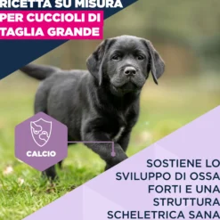 Eukanuba Dog - Life Care Puppy - Large Breed