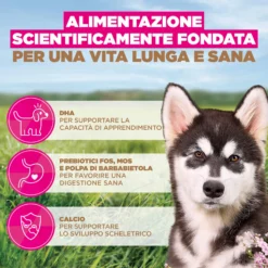 Eukanuba Dog Puppy & Junior Large Grainfree Cibo per Cani
