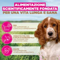 Eukanuba Dog Puppy Small/Medium Grainfree Cibo per Cani