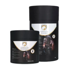Excellent Equi Mobility Plus