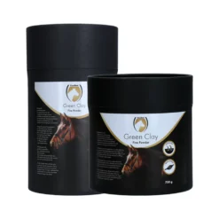 Excellent Horse Green Clay Fine Powder