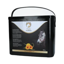 Excellent Horse Herbs Calendula
