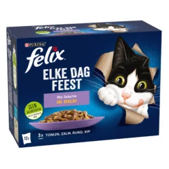 Felix Ogni Giorno Festa