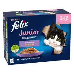 Felix Ogni Giorno Festa Junior