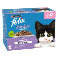 Felix Original Junior Cibo umido - 4 gusti