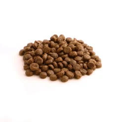 Fish4Dogs Finest Puppy Salmone con Patata Dolce