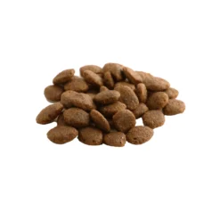 Fish4Dogs Finest Senior Salmone con Patata Dolce