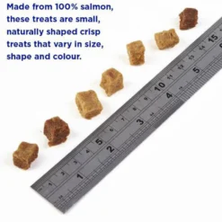 Fish4Dogs Training Adult Salmon Bites Snack per Cani