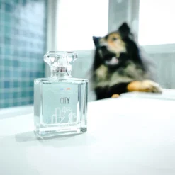 Francodex City Perfume