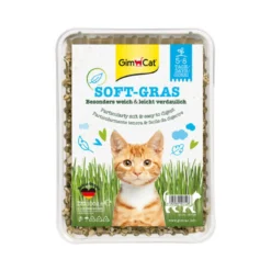 GimCat Erba per gatti