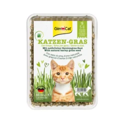 GimCat Erba per gatti