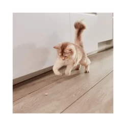 GimCat Nutri Kitten Bites