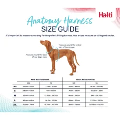 Halti Anatomy Harness