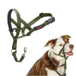 Halti Headcollar