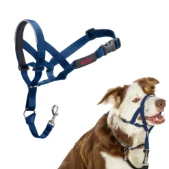 Halti Headcollar