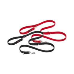 Halti Training Lead