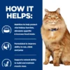 Hill's k/d + Mobility - Prescription Diet - Feline