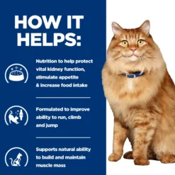 Hill's k/d + Mobility - Prescription Diet - Feline