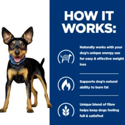 Hill's Metabolic Mini - Prescription Diet - Canine