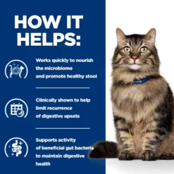 Hill's Prescription Diet - Gastrointestinal Biome - Cibo per Gatti