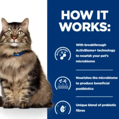 Hill's Prescription Diet - Gastrointestinal Biome - Cibo per Gatti