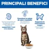 Hill's Science Plan Adult - Agnello