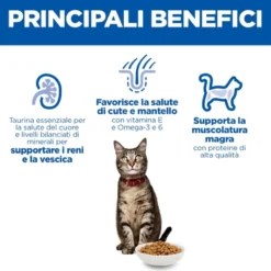 Hill's Science Plan Adult - Agnello