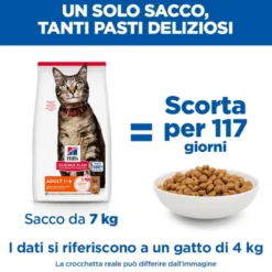 Hill's Science Plan Adult - Agnello