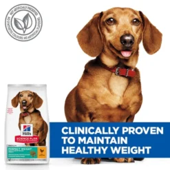 Hill's Science Plan - Adult - Perfect Weight - Cani