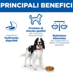 Hill's Science Plan - Adult - Spezzatino - Pollo